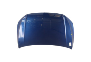 Capot VOLKSWAGEN POLO 6 Photo n°1