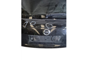 Malle/Hayon arriere NISSAN JUKE 1 Photo n°6