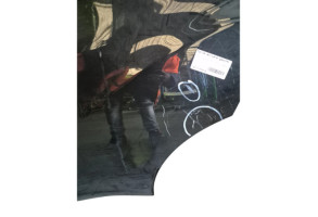 Porte arriere gauche NISSAN JUKE 1 Photo n°4