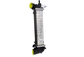 Echangeur air (Intercooler) FORD C-MAX 2 Photo n°6