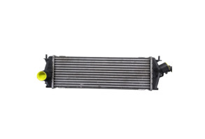 Echangeur air (Intercooler) RENAULT TRAFIC 2 Photo n°7