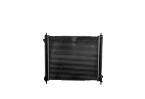 Radiateur eau NISSAN JUKE 1 Photo n°1