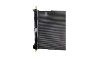 Radiateur eau NISSAN JUKE 1 Photo n°3