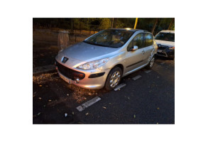 Vase de lave glace PEUGEOT 307 Photo n°6