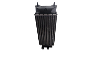 Echangeur air (Intercooler) DS DS4 1 Photo n°2
