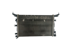 Radiateur eau RENAULT LAGUNA 3 Photo n°1