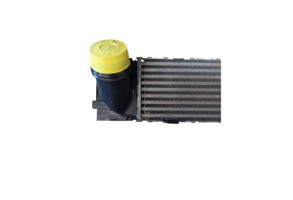 Echangeur air (Intercooler) BMW SERIE 1 F21 Photo n°2