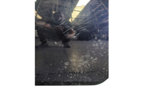 Porte arriere gauche BMW SERIE 5 E61 Photo n°8
