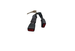 Attache ceinture arriere droit NISSAN X-TRAIL 1 Photo n°3