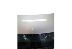 Malle/Hayon arriere RENAULT MEGANE 4 Photo n°6