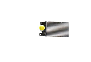 Echangeur air (Intercooler) RENAULT MASTER 2 Photo n°3