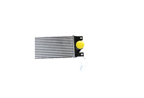 Echangeur air (Intercooler) RENAULT MASTER 2 Photo n°4