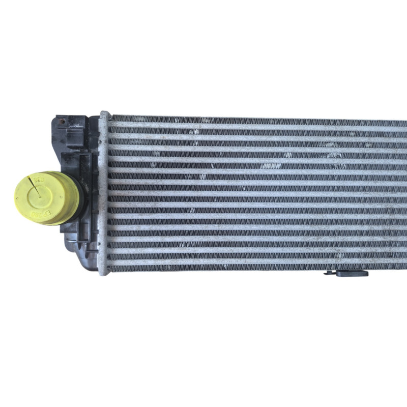 Echangeur air (Intercooler) MERCEDES SPRINTER 2 Photo n°1