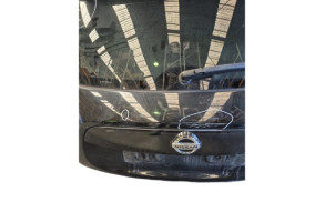 Malle/Hayon arriere NISSAN JUKE 1 Photo n°5