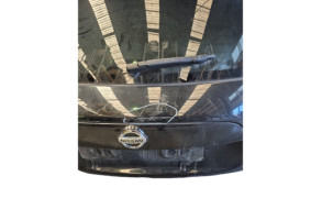 Malle/Hayon arriere NISSAN JUKE 1 Photo n°7