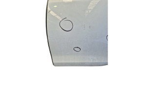 Porte arriere gauche VOLKSWAGEN GOLF 6 Photo n°3