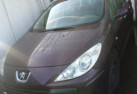 Renfort pare choc arriere (traverse) PEUGEOT 307 Photo n°8