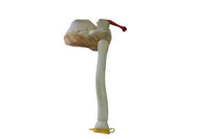 Vase de lave glace RENAULT MASTER 3 Photo n°2