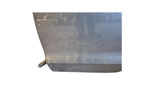 Porte arriere gauche VOLKSWAGEN POLO 5 Photo n°5