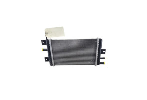 Radiateur eau DACIA SPRING Photo n°1