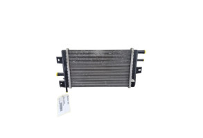 Radiateur eau DACIA SPRING Photo n°2