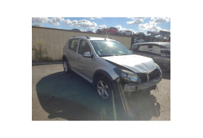 Porte arriere gauche DACIA SANDERO 1 Photo n°20