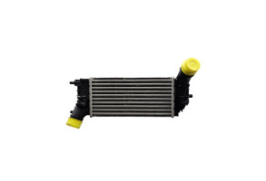 Echangeur air (Intercooler) FORD PUMA 2 Photo n°2