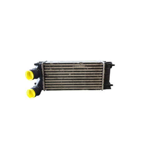 Echangeur air (Intercooler) PEUGEOT 3008 1