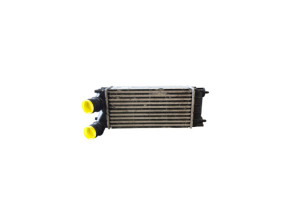 Echangeur air (Intercooler) PEUGEOT 3008 1 Photo n°1