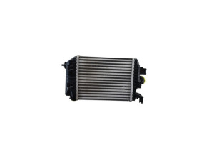 Echangeur air (Intercooler) RENAULT ARKANA Photo n°1