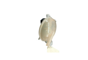 Vase d'expansion DACIA LODGY Photo n°3