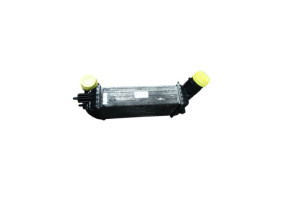 Echangeur air (Intercooler) PEUGEOT RCZ Photo n°2