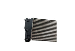 Echangeur air (Intercooler) RENAULT KADJAR Photo n°5