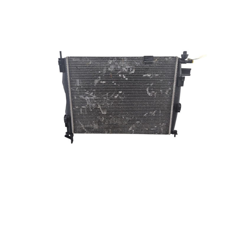 Radiateur eau NISSAN QASHQAI 1 Photo n°1
