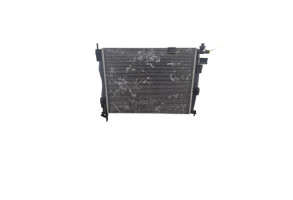 Radiateur eau NISSAN QASHQAI 1 Photo n°1