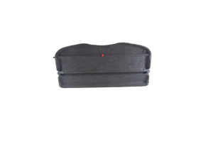 Plage arriere RENAULT SCENIC 2 Photo n°2