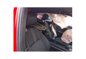 Verin de coffre HONDA CIVIC 10 Photo n°19