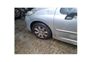 Sigle de calandre PEUGEOT 207 Photo n°16