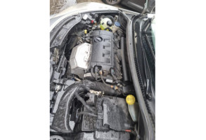 Sigle de calandre PEUGEOT 207 Photo n°19