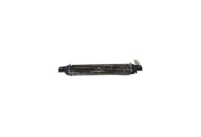 Echangeur air (Intercooler) CITROEN NEMO Photo n°1