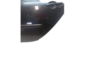 Porte arriere gauche RENAULT CLIO 3 Photo n°3