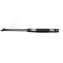 Verin de coffre NISSAN QASHQAI 1 Photo n°3