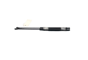 Verin de coffre NISSAN QASHQAI 1 Photo n°3