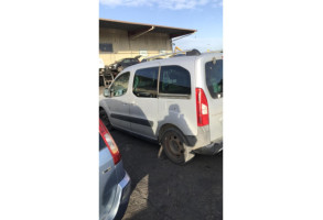 Porte arriere gauche PEUGEOT PARTNER 2 Photo n°12
