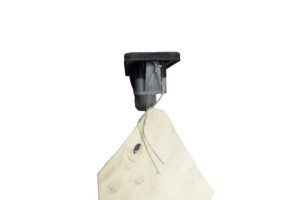Bouton de coffre RENAULT ESPACE 5 Photo n°5