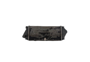 Echangeur air (Intercooler) MERCEDES CLASSE M 163 Photo n°1