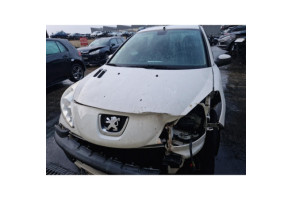Boite de vitesses PEUGEOT 206+ Photo n°13