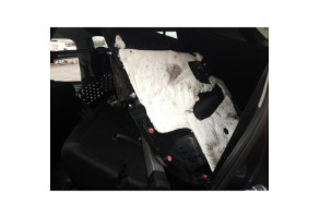 Vitre arriere gauche KIA SPORTAGE 3 Photo n°17