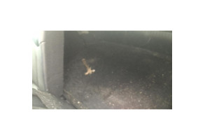 Echangeur air (Intercooler) PEUGEOT 308 1 Photo n°15