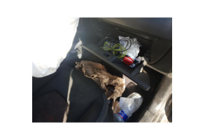 Retroviseur interieur SEAT ALTEA Photo n°18